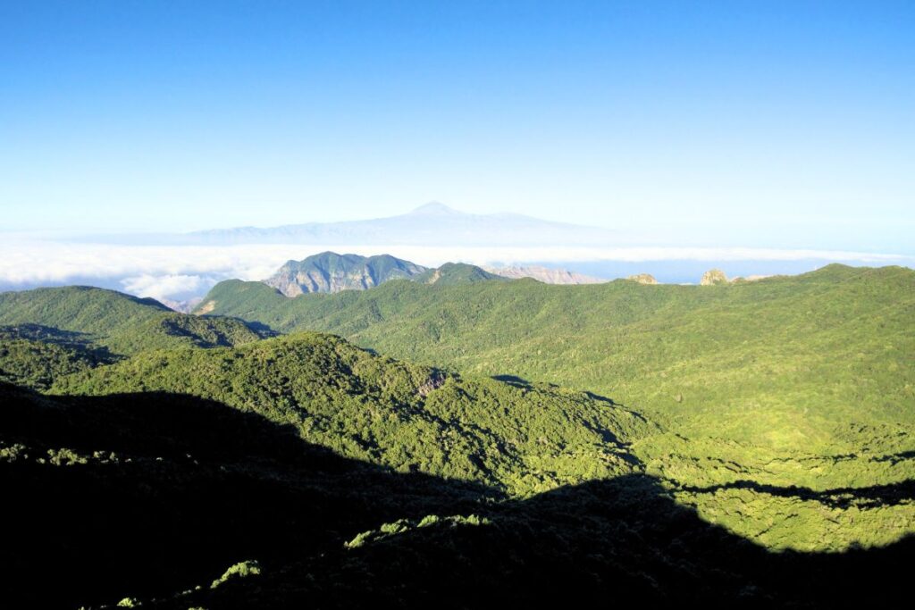 Garajonay en La Gomera: Maravilla Natural