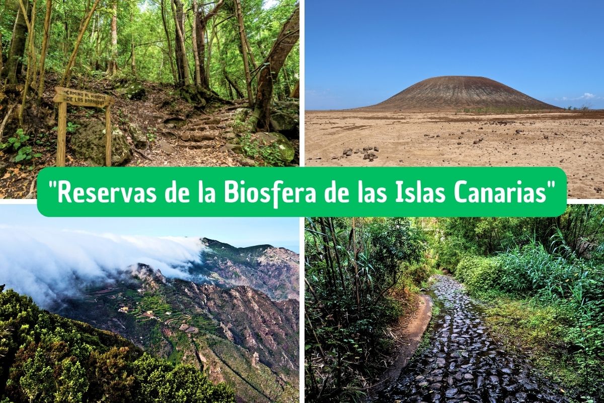 Viaje ecoamigable: Una imagen que muestra cómo disfrutar de las Reservas de la Biosfera de las Islas Canarias de manera sostenible.