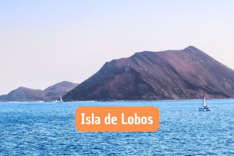 Isla de Lobos en las Islas Canarias: Conoce su Belleza Natural