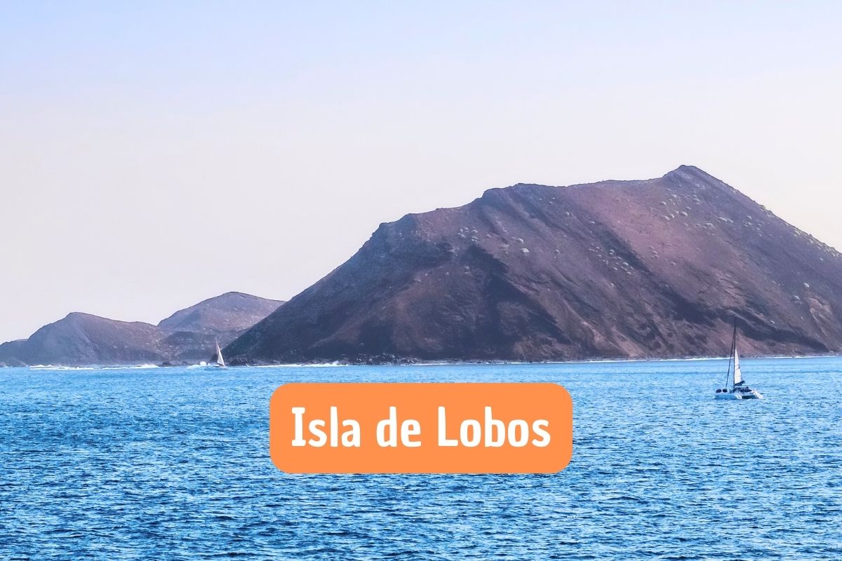 Isla de Lobos en las Islas Canarias: Conoce su Belleza Natural 
