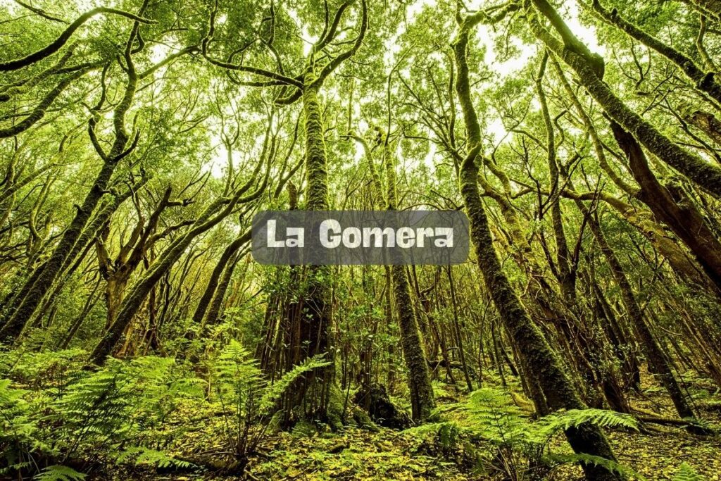 La Gomera: ¿Qué puedes ver en La Gomera?