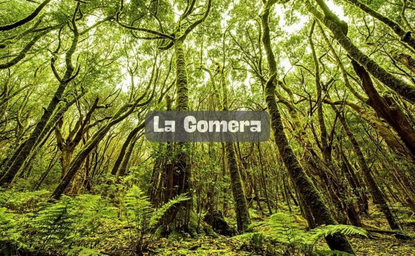 La Gomera: ¿Qué puedes ver en La Gomera?