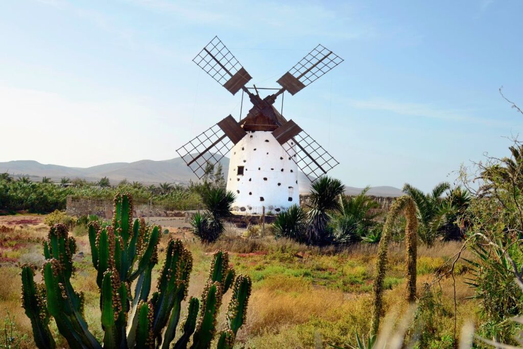 Fuerteventura