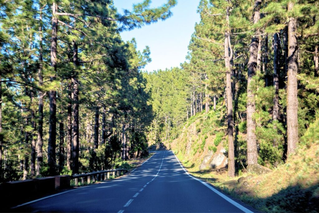 Tenerife Island: Tourism and Nature in a Unique Destination