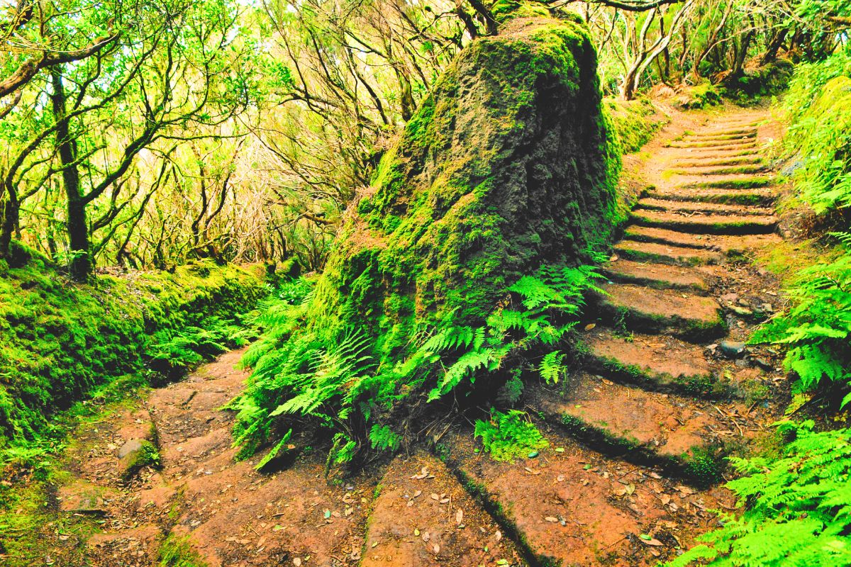 Parque Rural de Anaga: naturaleza y cultura en Tenerife, España