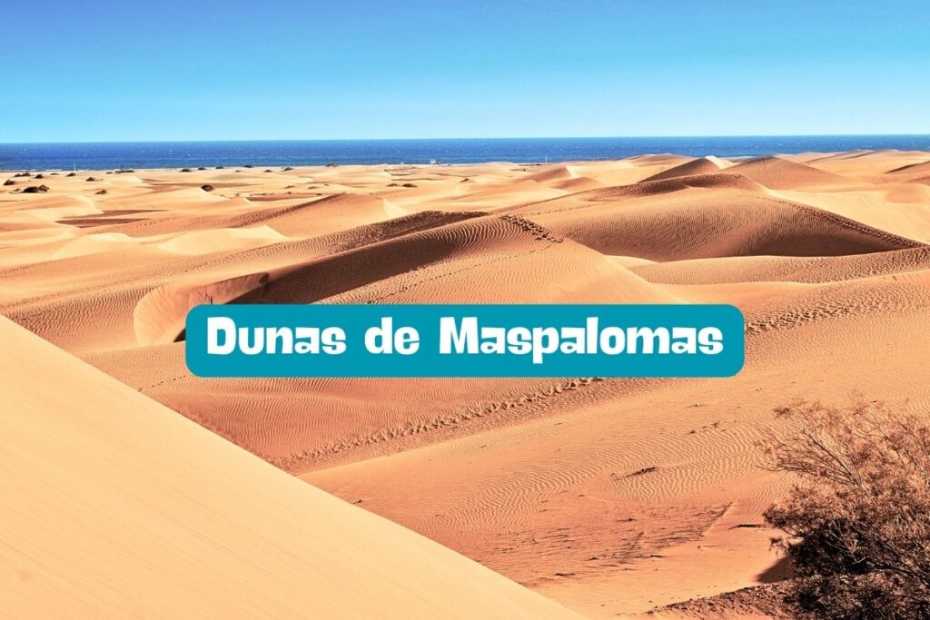 Dunas de Maspalomas 🌴🏖️