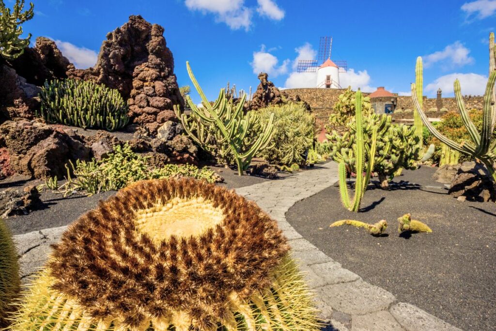 Jardín de Cactus en Lanzarote
