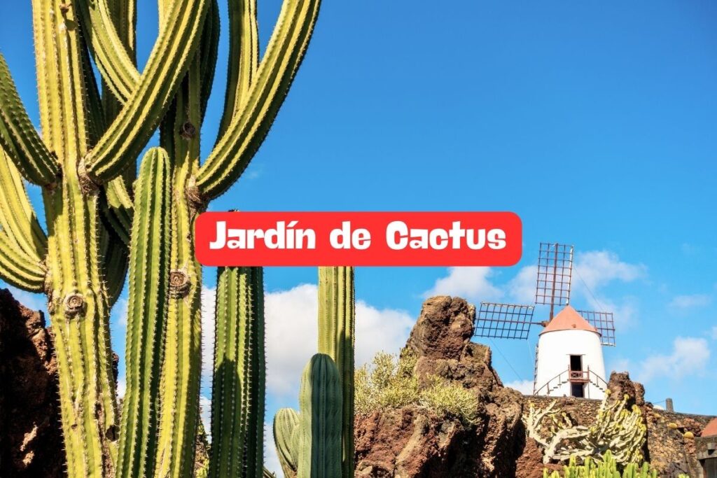 Jardín de Cactus en Lanzarote