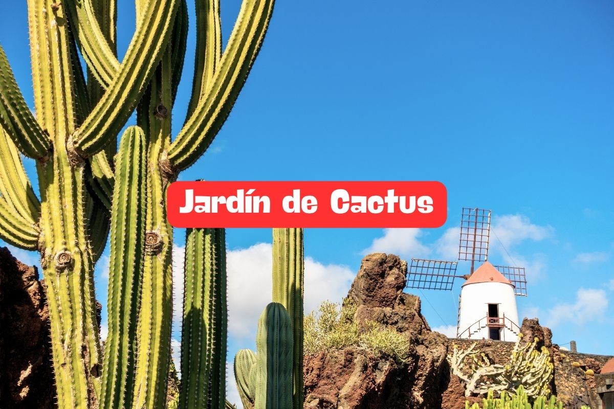 Jardín de Cactus en Lanzarote