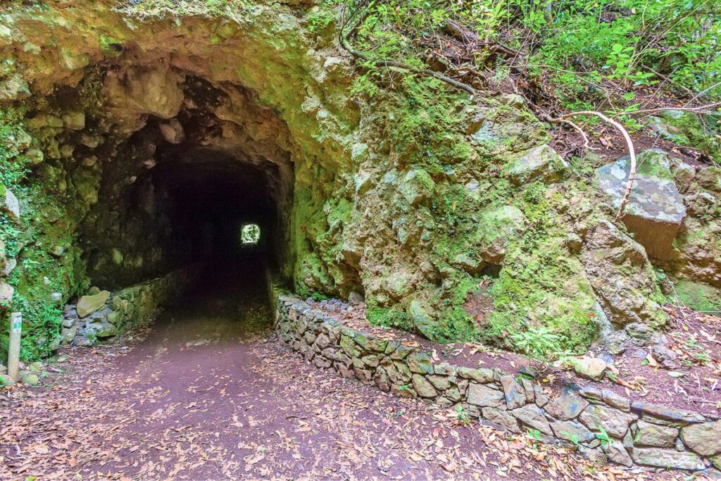 Los Tilos: ¿Descubriste ya sus senderos encantados y cascadas ocultas en La Palma?