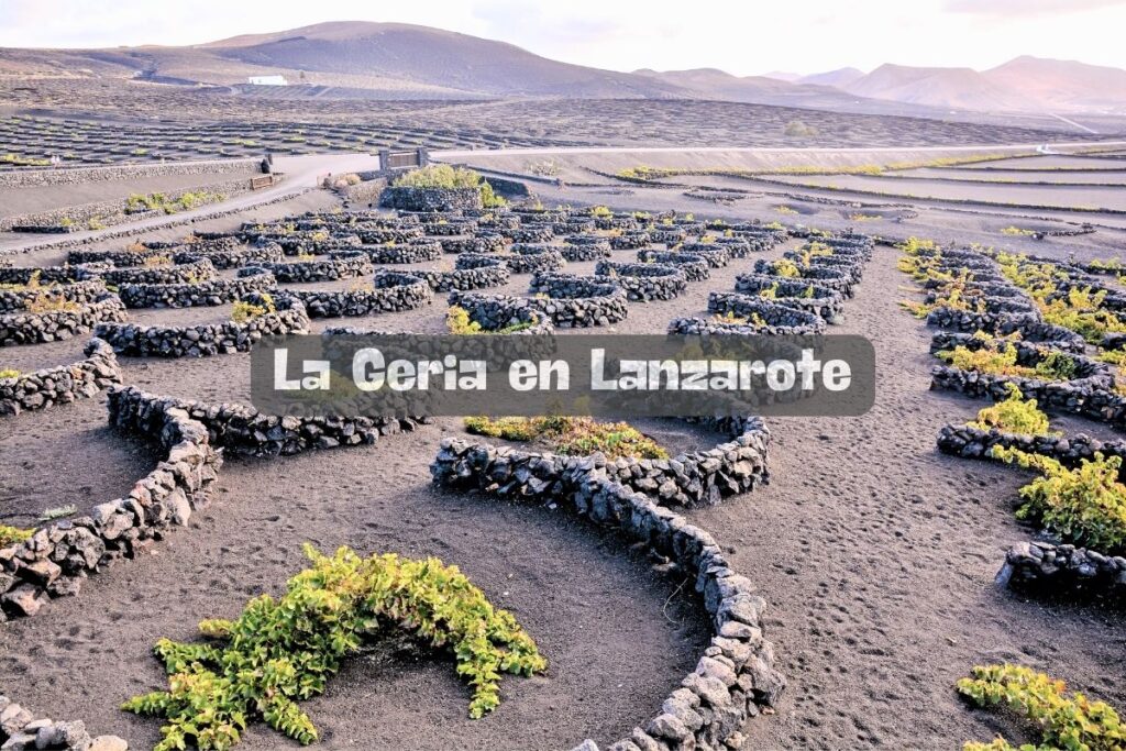 La Geria en Lanzarote